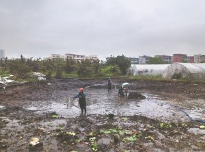 射阳河道鱼塘清淤
